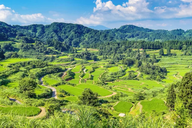 Green rice terraces at Hoshitoge in Niigata