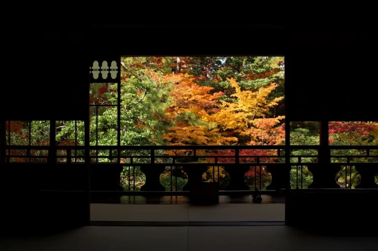 Red and gold autumn foliage framed by a dark Japanese room at Niigata Saito Villa