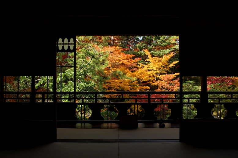 Red and gold autumn foliage framed by a dark Japanese room at Niigata Saito Villa