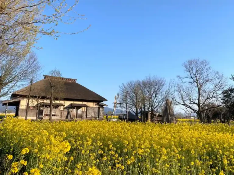 A field of yellow rapeseed flowers in front of Kataraitei at Fukushimagata, beneath a blue spring sky, photographed in April 2020.