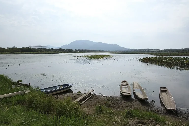 Wooden boats and reeds beside Sakata Lagoon with Mount Kakuda in the distance