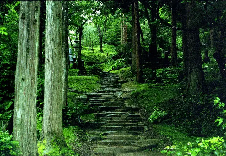 Stone path through cedar trees toward Uesugi Kenshin’s grave at Rinsenji Temple