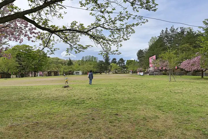 Open lawn and trees at Yukyuzan Park in Nagaoka