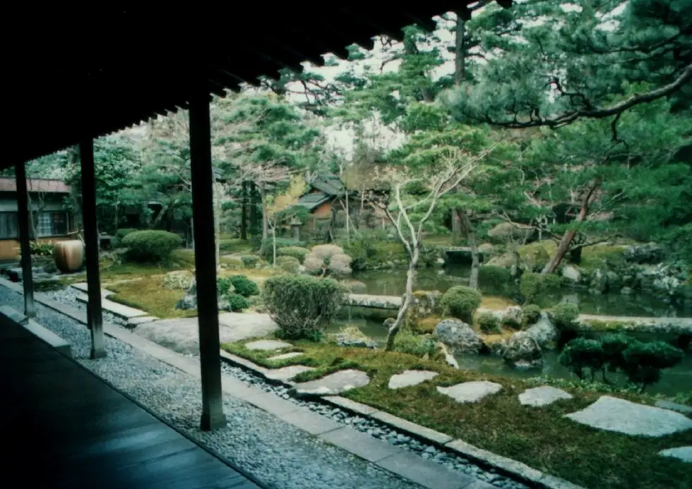 A landscaped garden with a pond, rocks, shrubs and trees, viewed from a covered wooden veranda.