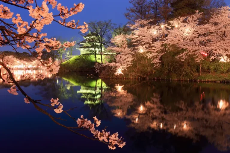 Cherry blossoms surround Takada Castle’s reconstructed three-storey turret at dusk, with the flowers and illuminated turret reflected in the moat, photographed in April 2015.
