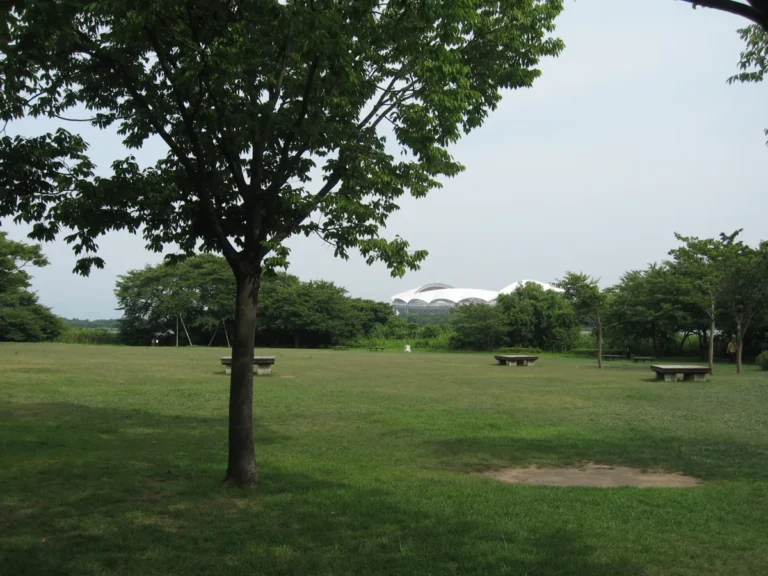Shaded lawn and benches in Toyanogata Park’s Meike district, with Big Swan stadium in the distance.
