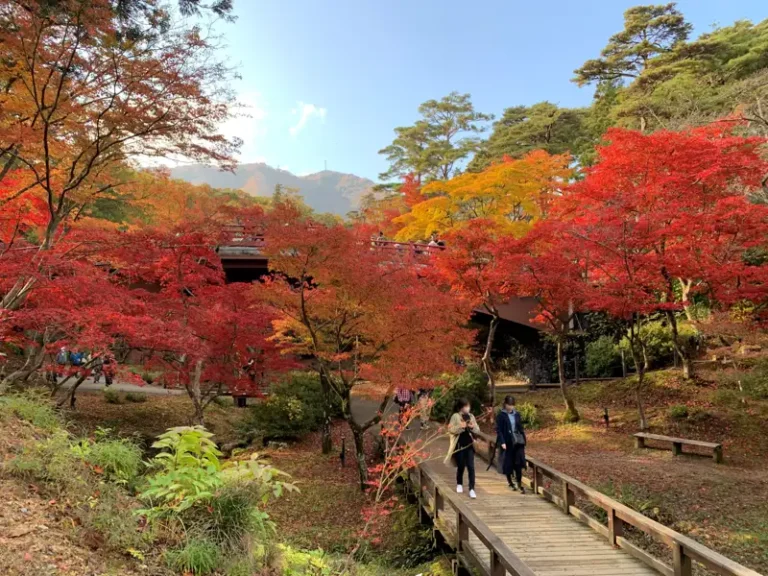 Red and orange autumn foliage surrounds a footbridge and paths in Momiji Valley at Yahiko Park.